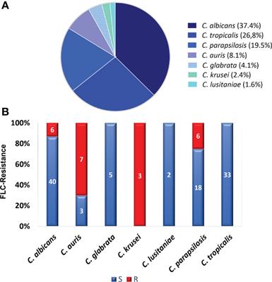 Emergence and circulation of azole-resistant C. albicans, C. auris and C. parapsilosis bloodstream isolates carrying Y132F, K143R or T220L Erg11p substitutions in Colombia